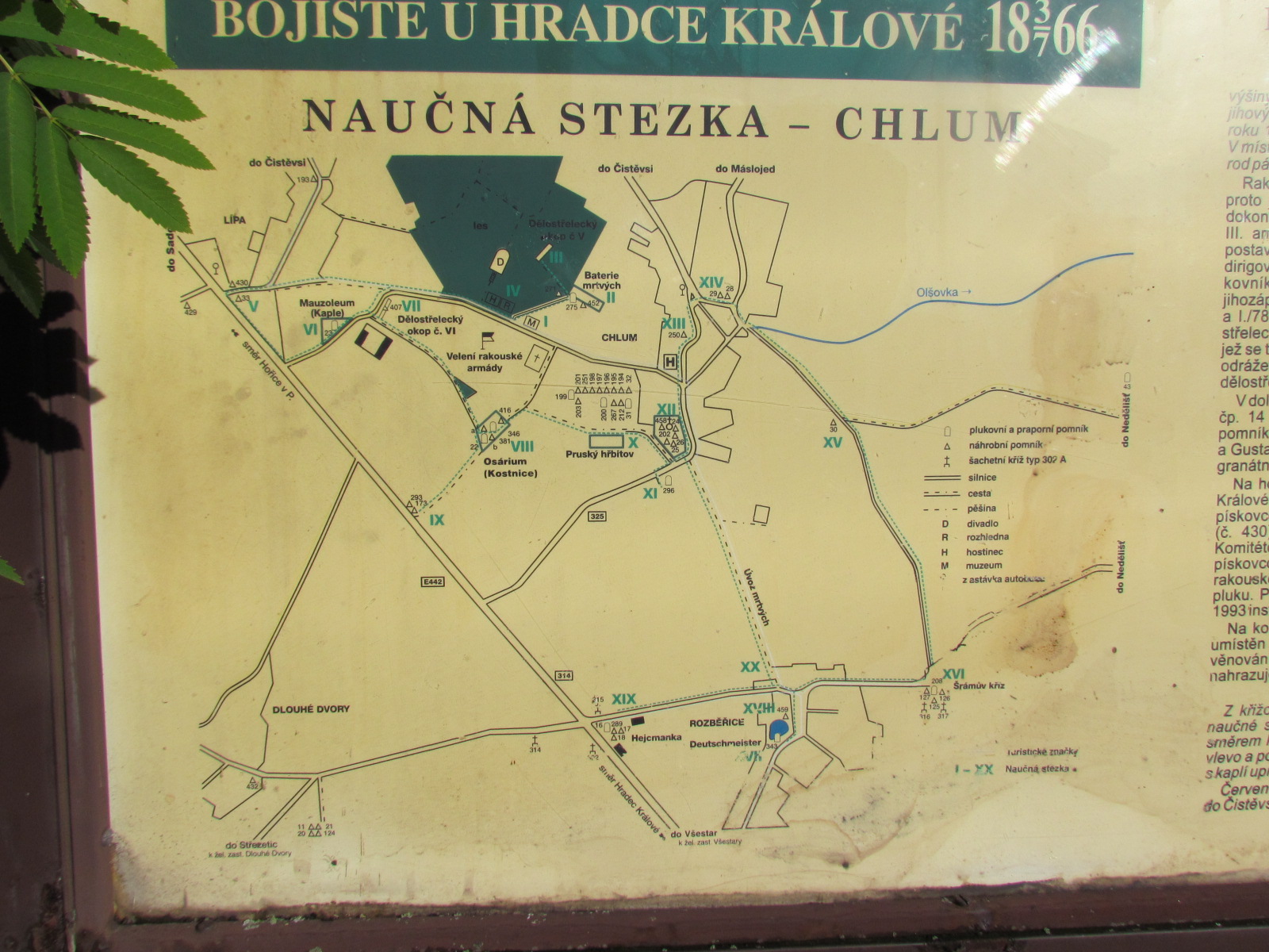 Sadova border=